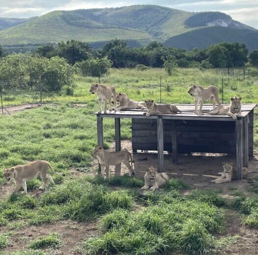 Kingakati, parc de la vallée de la N'Sele