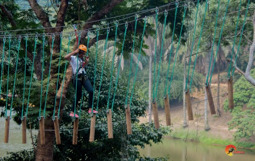 Treetops Park / Play Climb / Tir à l’arc