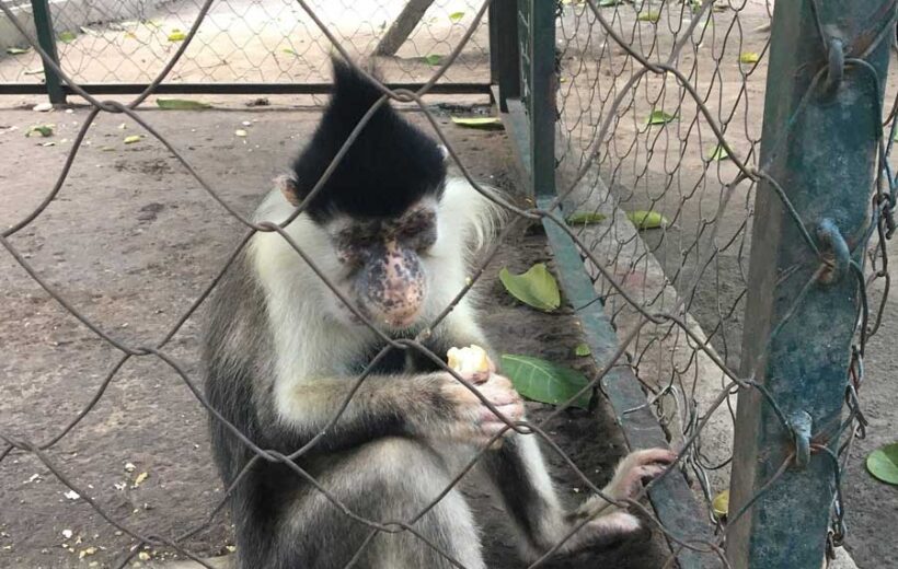 Jardin zoologique de Kinshasa